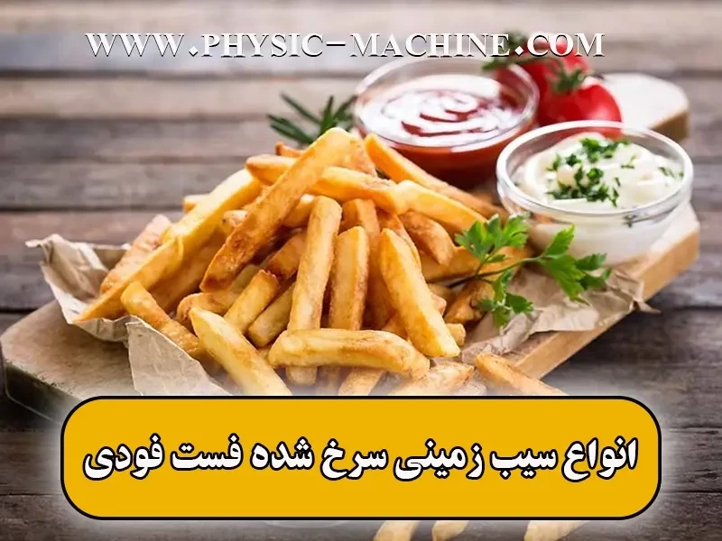 انواع سیب زمینی سرخ شده فست فودی🍟【14 طعم پرطرفدار】